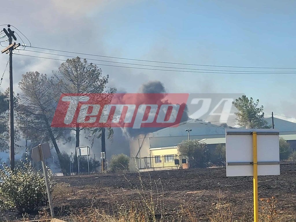 Κόλαση φωτιάς στην Αχαΐα: Καίγονται σπίτια επιχειρήσεις και νεκροταφείο - Εκκενώνονται Καμίνια, Βραχνέικα και Τσουκαλέικα, έκλεισε τμήμα της Πατρών-Πύργου (ΦΩΤΟ - ΒΙΝΤΕΟ)
