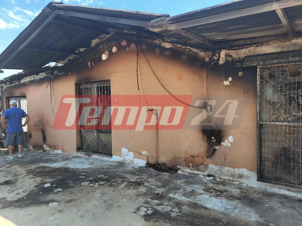 Αποκαρδιωτικές εικόνες αποκαλύπτουν το μέγεθος της καταστροφικής φωτιάς στην Αχαΐα (ΦΩΤΟ)