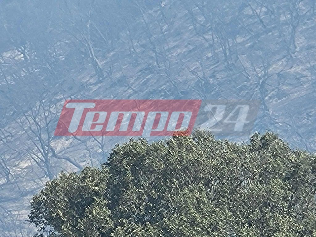 Φωτιές σε Κεφαλονιά, Φωκίδα, Βόνιτσα, Ζάκυνθο, Πρέβεζα και Άρτα - Απανωτά 112 για εκκενώσεις οικισμών (ΦΩΤΟ & BINTΕΟ)