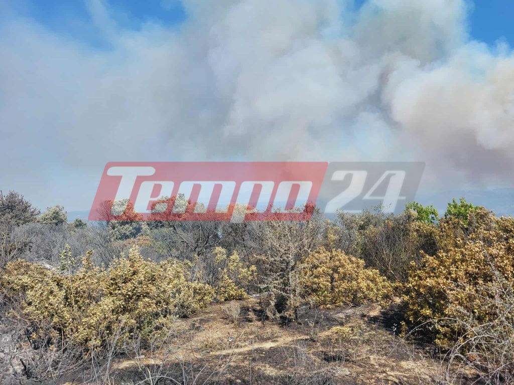 Φωτιές σε Κεφαλονιά, Φωκίδα, Βόνιτσα, Ζάκυνθο, Πρέβεζα και Άρτα - Απανωτά 112 για εκκενώσεις οικισμών (ΦΩΤΟ & BINTΕΟ)