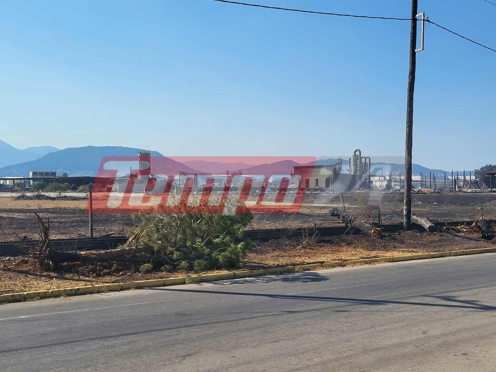Δυτική Αχαΐα: Τεράστιες καταστροφές από την πύρινη κόλαση - Βελτιωμένη η εικόνα της φωτιάς (ΦΩΤΟ)