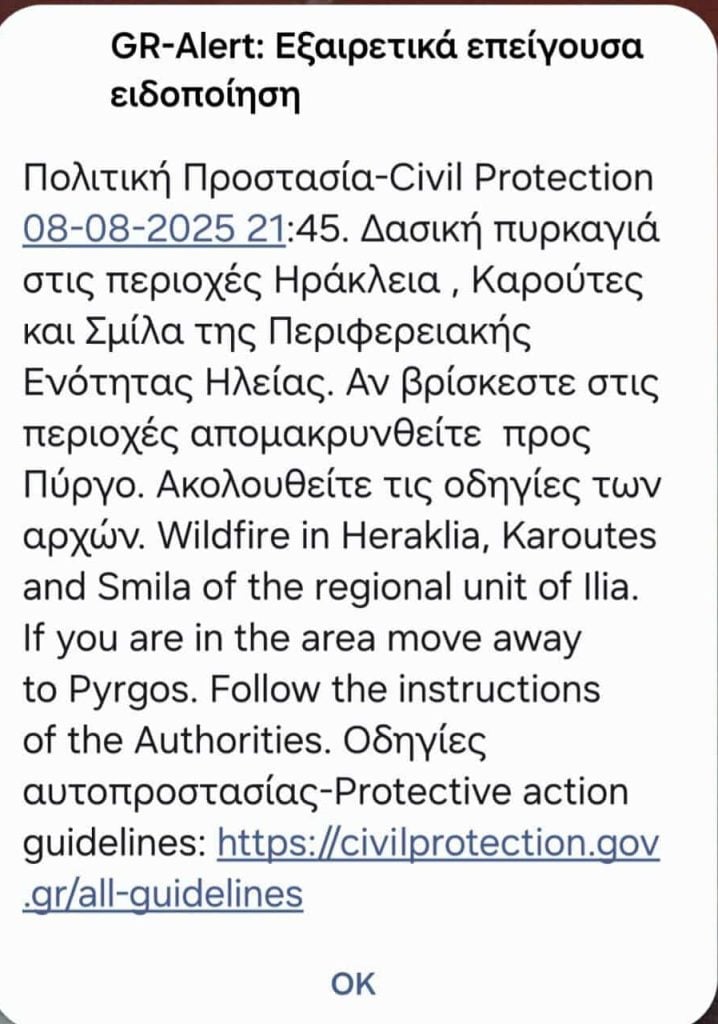 Μάχη με τις φλόγες συνεχίζουν να δίνουν οι πυροσβεστικές δυνάμεις στην Αρχαία Ολυμπία - ΦΩΤΟ