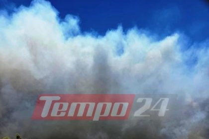 Δυτ. Αχαΐα: Μεγάλη φωτιά στα Μοιρέικα - Στις φλόγες θερμοκήπια, μηνύματα εκκένωσης οικισμών από το 112, διακοπή κυκλοφορίας στην Εθνική Οδό (ΦΩΤΟ - ΒΙΝΤΕΟ)