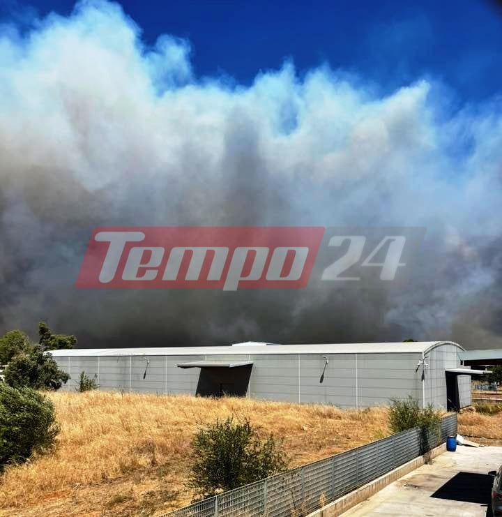 Δυτ. Αχαΐα: Μεγάλη φωτιά στα Μοιρέικα - Στις φλόγες θερμοκήπια, μηνύματα εκκένωσης οικισμών από το 112, διακοπή κυκλοφορίας στην Εθνική Οδό, αναφορές για εγκαυματίες (ΦΩΤΟ - ΒΙΝΤΕΟ)