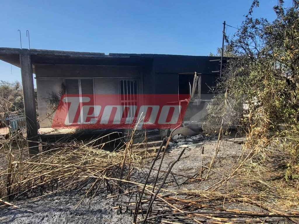 Αποκαρδιωτικές εικόνες αποκαλύπτουν το μέγεθος της καταστροφικής φωτιάς στην Αχαΐα (ΦΩΤΟ)