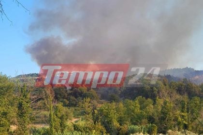 Ηλεία: Αναζωπυρώθηκε η φωτιά στο Χελιδόνι - Μάχη με τις διάσπαρτες εστίες (ΦΩΤΟ - ΒΙΝΤΕΟ)