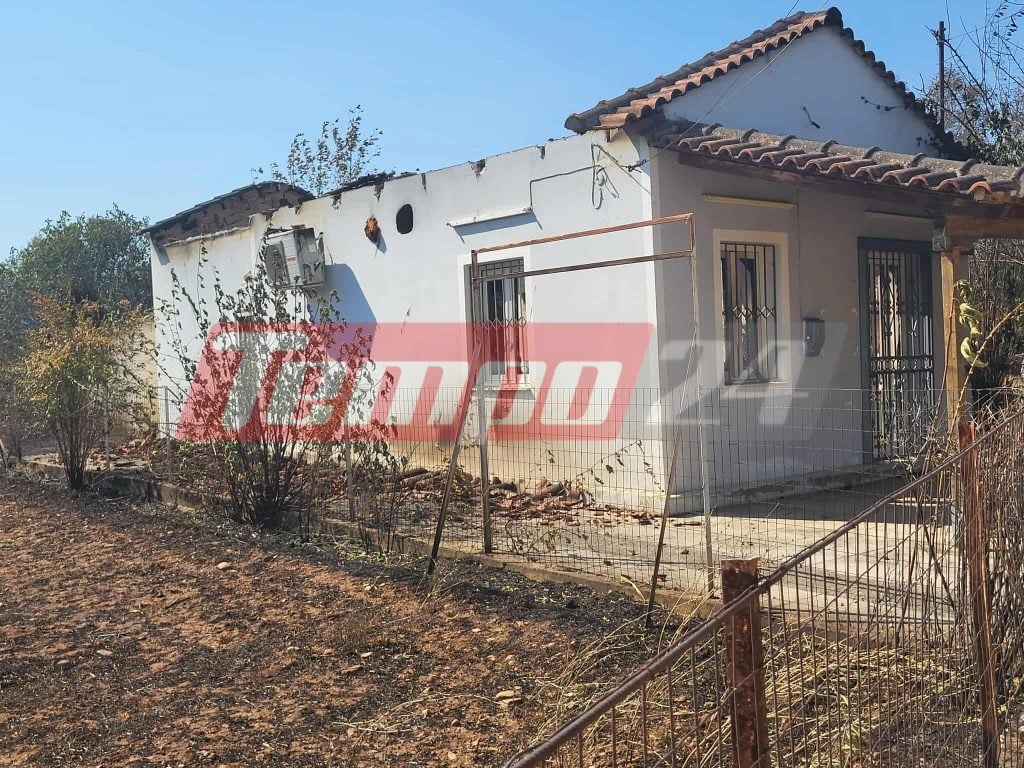 Δυτική Αχαΐα: Τεράστιες καταστροφές από την πύρινη κόλαση - Βελτιωμένη η εικόνα της φωτιάς (ΦΩΤΟ)