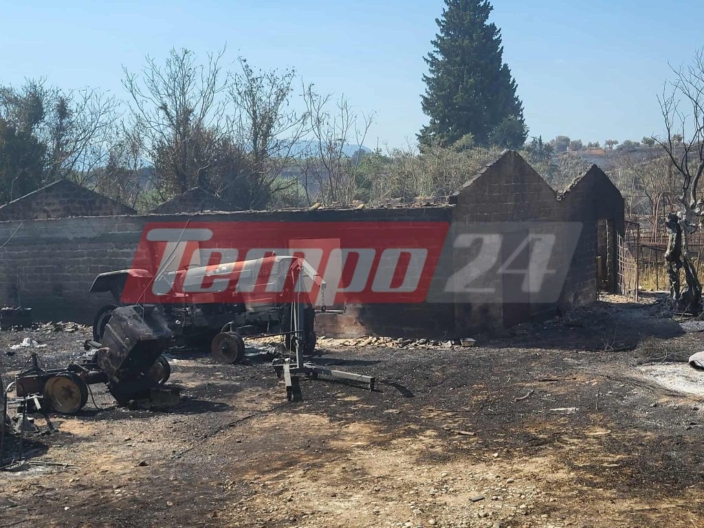Αποκαρδιωτικές εικόνες αποκαλύπτουν το μέγεθος της καταστροφικής φωτιάς στην Αχαΐα (ΦΩΤΟ)