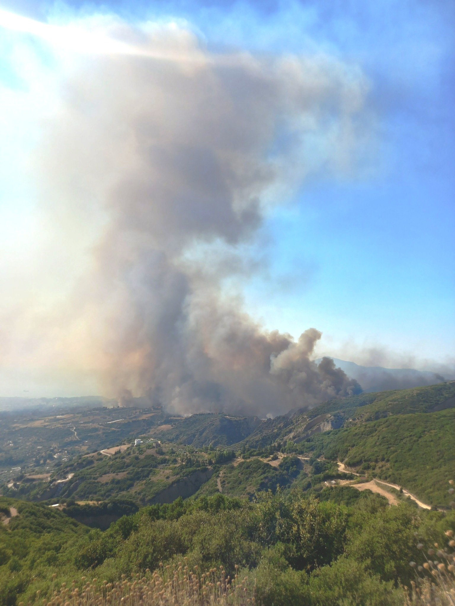 LIVE Πάτρα: Τιτάνια μάχη για να ελεγχθεί η μεγάλη φωτιά πριν το τελευταίο φως της μέρας - Μπαράζ μηνυμάτων του 112 για εκκενώσεις οικισμών - Μεταφέρουν άτομα στο ΚΕΤΧ(ΦΩΤΟ - ΒΙΝΤΕΟ)