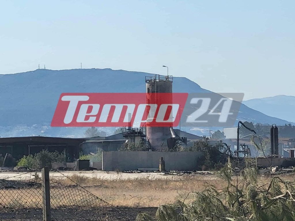 Δυτική Αχαΐα: Τεράστιες καταστροφές από την πύρινη κόλαση - Βελτιωμένη η εικόνα της φωτιάς (ΦΩΤΟ)