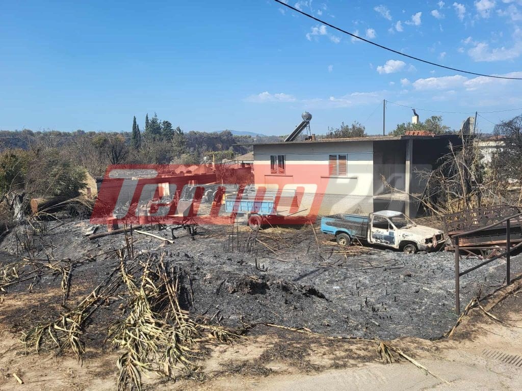 Αποκαρδιωτικές εικόνες αποκαλύπτουν το μέγεθος της καταστροφικής φωτιάς στην Αχαΐα (ΦΩΤΟ)