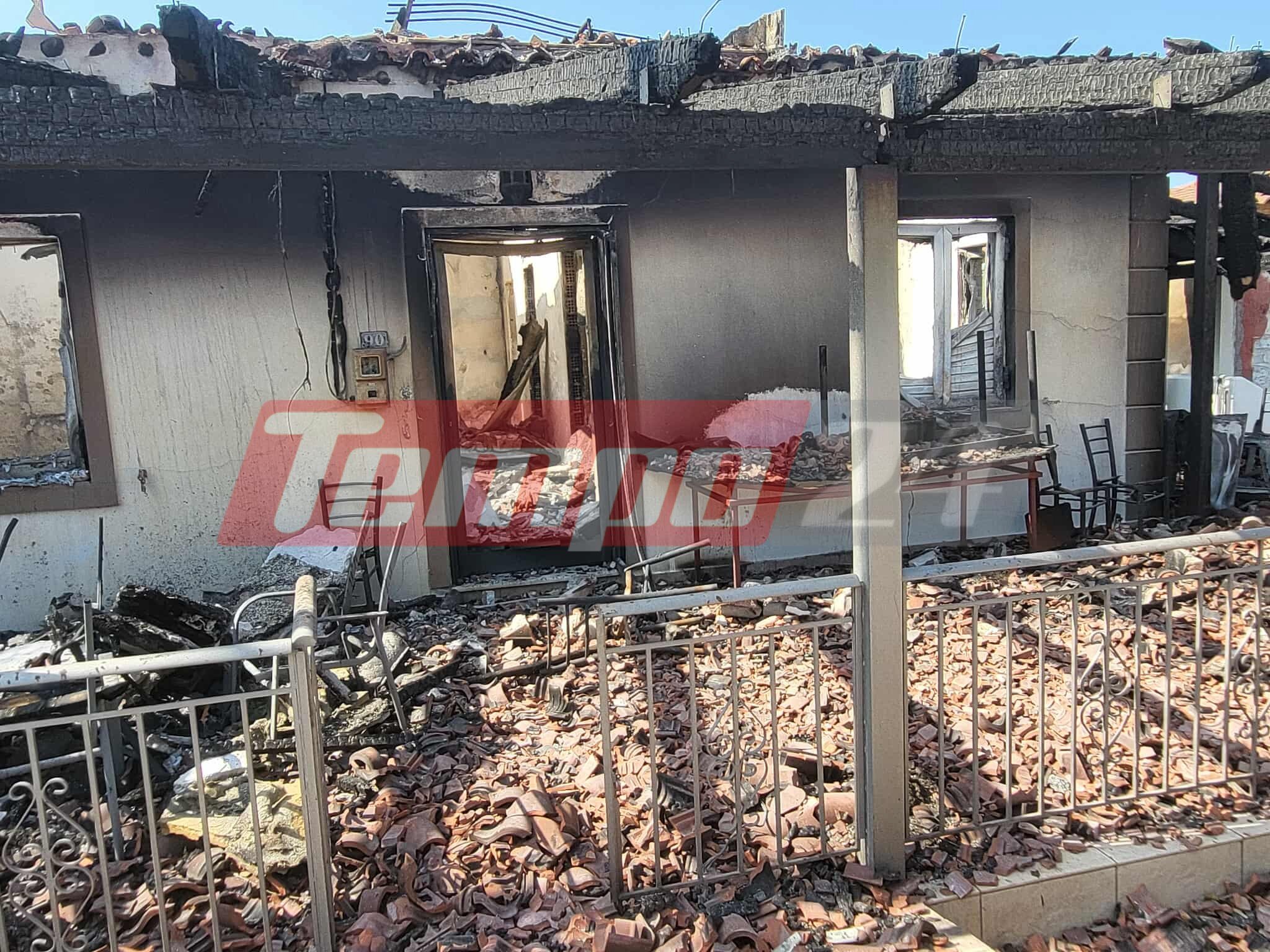 Αποκαρδιωτικές εικόνες αποκαλύπτουν το μέγεθος της καταστροφικής φωτιάς στην Αχαΐα (ΦΩΤΟ)