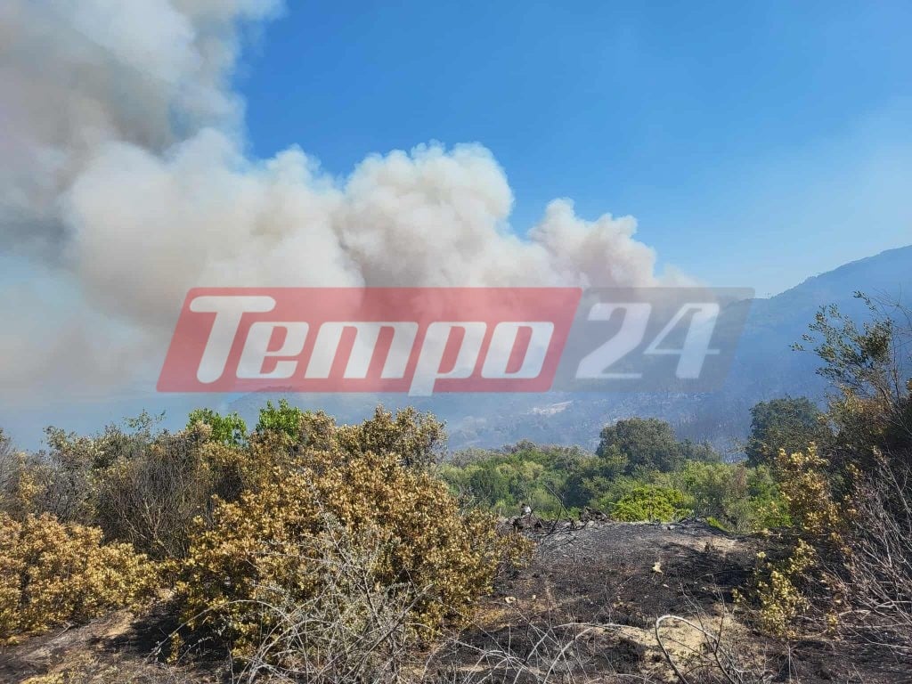 Φωτιές σε Κεφαλονιά, Φωκίδα, Βόνιτσα, Ζάκυνθο, Πρέβεζα και Άρτα - Απανωτά 112 για εκκενώσεις οικισμών (ΦΩΤΟ & BINTΕΟ)