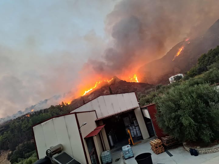Πάτρα: Έκκληση από επιχείρηση για πυροσβεστικά μέσα