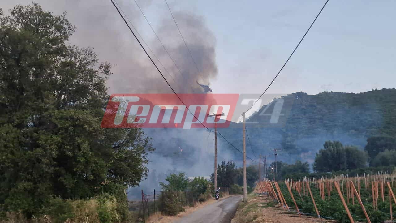 Φωτιά στην Πάτρα: Υπό έλεγχο η εστία στην περιοχή του Μπάλα - Προσήχθησαν δύο άτομα που κινούνταν ύποπτα με μηχανή (ΦΩΤΟ - ΒΙΝΤΕΟ)