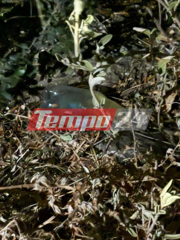 Πάτρα: Βίντεο και μαρτυρίες πρόδωσαν τους «Νέρωνες» των Συχαινών - ΦΩΤΟ από τη στιγμή του εμπρησμού