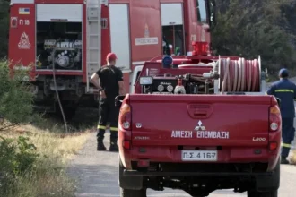 Χωρίς ενεργό μέτωπο η φωτιά στη Νέα Σαμψούντα στην Πρέβεζα
