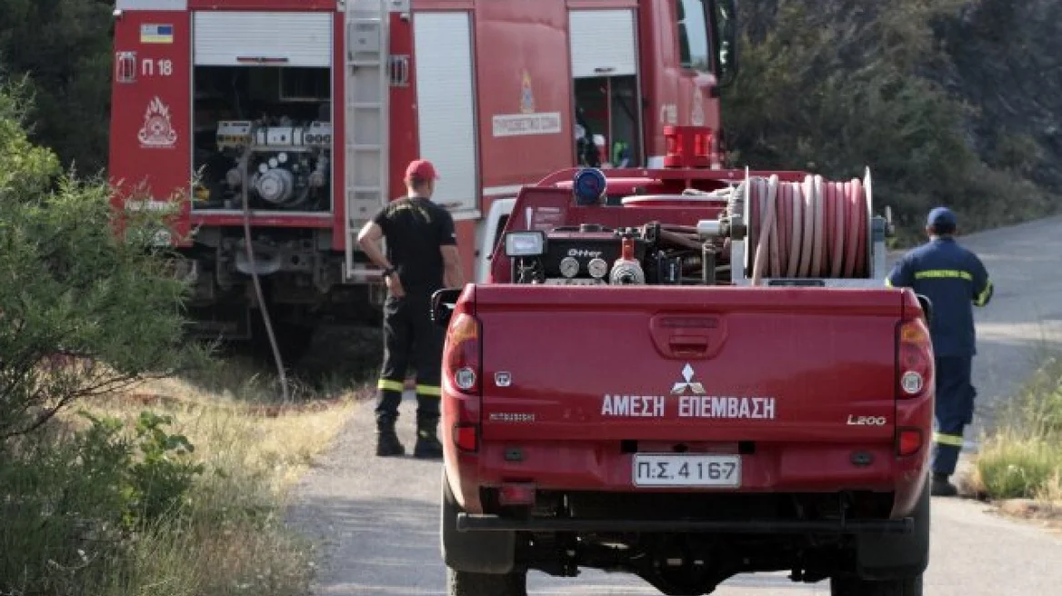 Χωρίς ενεργό μέτωπο η φωτιά στη Νέα Σαμψούντα στην Πρέβεζα