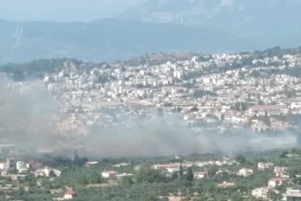 Αχαΐα: Τα αποτελέσματα της καταγραφής των ζημιών ανά Δήμο-Πόσα σπίτια κάηκαν