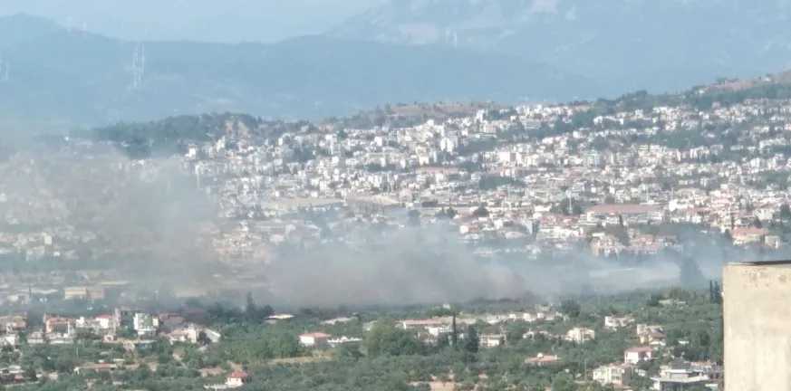 Αχαΐα: Τα αποτελέσματα της καταγραφής των ζημιών ανά Δήμο-Πόσα σπίτια κάηκαν