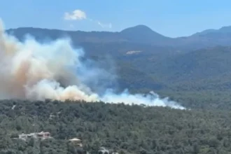 Οριοθετήθηκε η φωτιά σε δασική έκταση στον Άγιο Νικόλαο - Μήνυμα από το 112 για ετοιμότητα