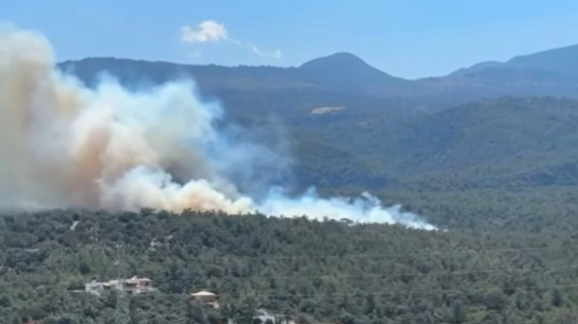 Οριοθετήθηκε η φωτιά σε δασική έκταση στον Άγιο Νικόλαο - Μήνυμα από το 112 για ετοιμότητα