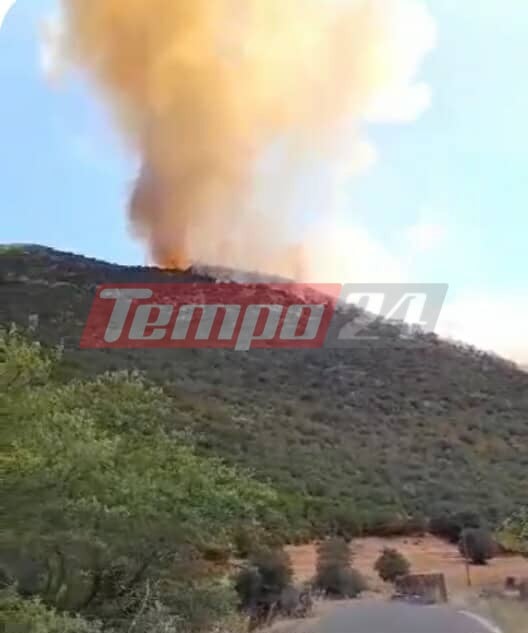 Αχαΐα: Φωτιά στο Λιβάρτζι Καλαβρύτων - Μήνυμα του 112, επιχειρούν ισχυρές πυροσβεστικές δυνάμεις ΦΩΤΟ-ΒΙΝΤΕΟ