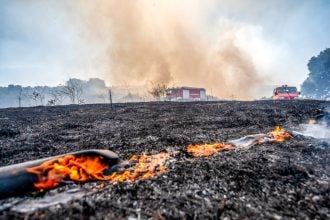 Πυροσβεστική: 47 αγροτοδασικές πυρκαγιές το τελευταίο 24ωρο σε όλη την χώρα