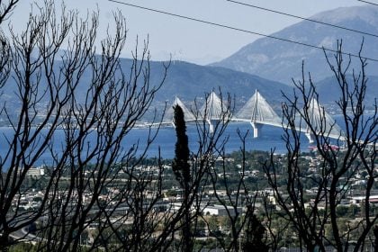 ΕΛΓΑ Πάτρας: Οδηγίες για τη διαχείριση πυρόπληκτων καλλιεργειών