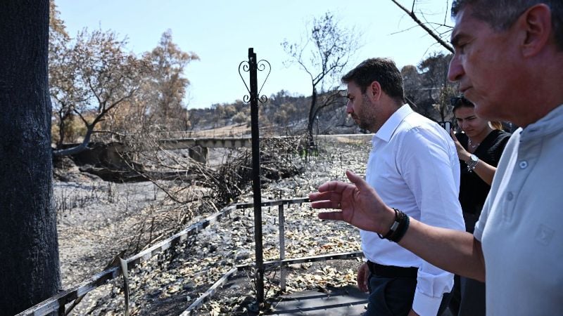 Ανδρουλάκης για τη φωτιά στην Πάτρα: Η αλαζονεία και η αναποτελεσματικότητα της κυβέρνησης είναι εξοργιστική (ΦΩΤΟ)