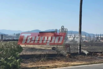 Περιφέρεια Δυτικής Ελλάδας: Καταγραφή επιχειρήσεων που επλήγησαν από τις πυρκαγιές