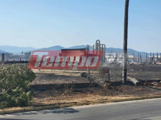 Περιφέρεια Δυτικής Ελλάδας: Καταγραφή επιχειρήσεων που επλήγησαν από τις πυρκαγιές