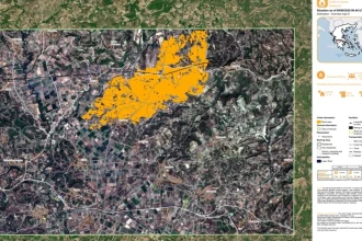 Πυρκαγιά στην Ηλεία - Copernicus: Κάηκαν 7.950 στρέμματα