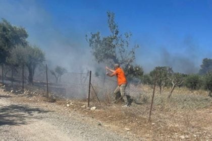 Αχαΐα: Η φωτιά έφτασε στα Δεμένικα – «Είναι μια ανάσα από τα σπίτια» λέει ο πρόεδρος της κοινότητας 