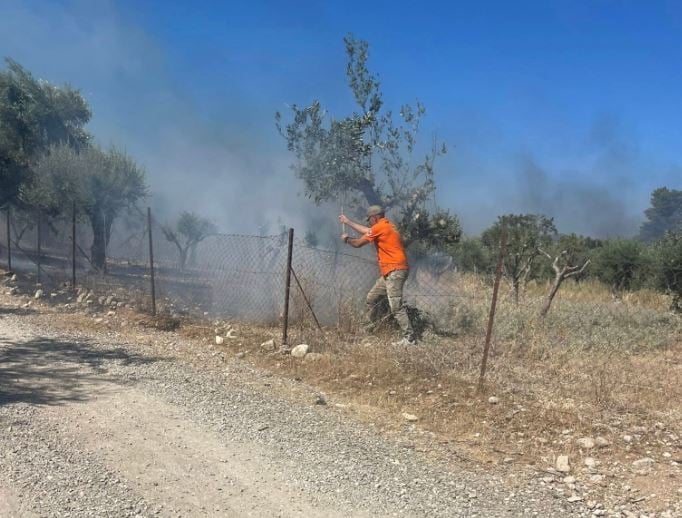 Αχαΐα: Η φωτιά έφτασε στα Δεμένικα – «Είναι μια ανάσα από τα σπίτια» λέει ο πρόεδρος της κοινότητας 
