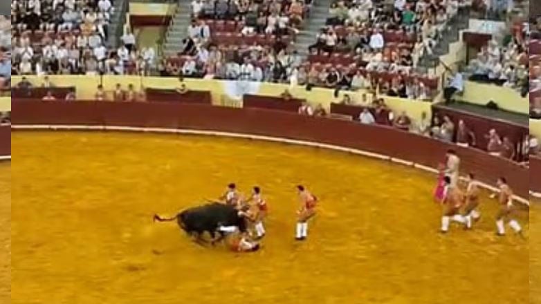 Τραγωδία στην αρένα της Λισαβόνας: Θάνατος 22χρονου ταυρομάχου - Σοκαριστικό βίντεο