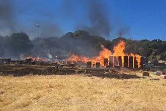 Θεσσαλονίκη: Σύλληψη μελισσοκόμου για τη φωτιά στους πρόποδες του Χορτιάτη