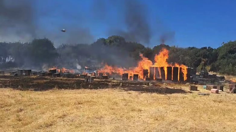 Θεσσαλονίκη: Σύλληψη μελισσοκόμου για τη φωτιά στους πρόποδες του Χορτιάτη