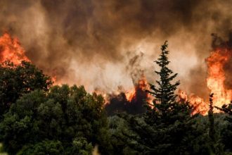 Στάχτη 454.000 στρέμματα έως τα μέσα Αυγούστου - Η Ελλάδα στην 5η χειρότερη θέση της 20ετίας