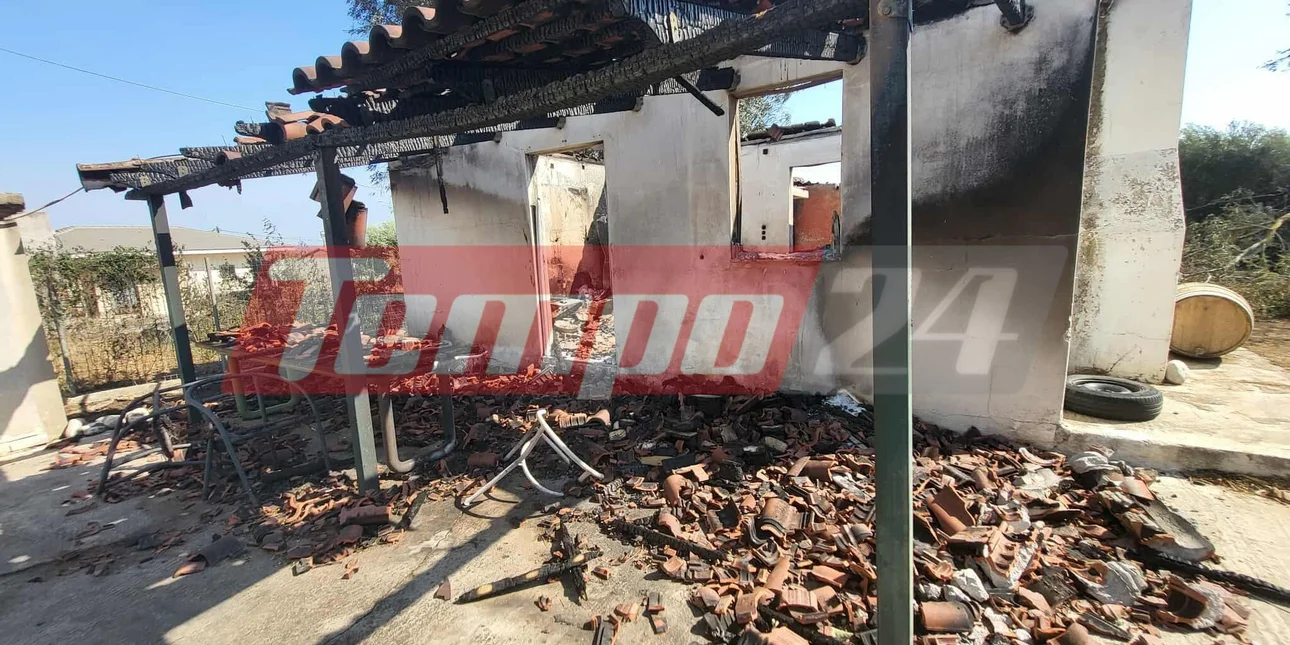 ΠΟΓΕΔΥ: Επίσκεψη στα καμένα της Αχαΐας