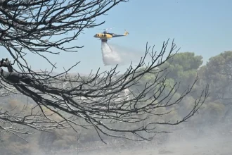 Φωτιά στη Μεσσήνη – Επιχειρούν και 2 αεροσκάφη 