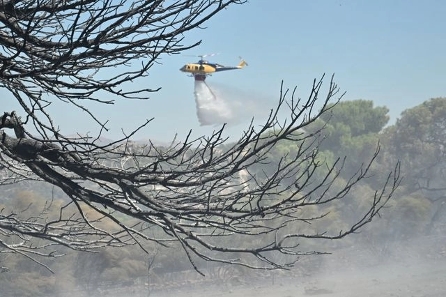 Φωτιά στη Μεσσήνη – Επιχειρούν και 2 αεροσκάφη 