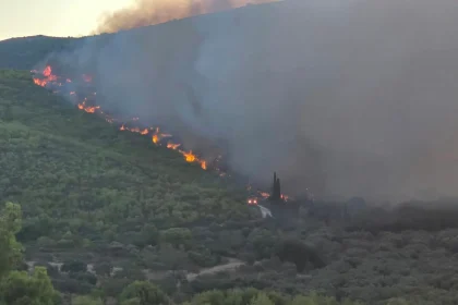 Ζάκυνθος: Συνεχίζεται η μάχη με τις φλόγες σε τρία μέτωπα - Ζημιές σε σπίτια και επιχειρήσεις
