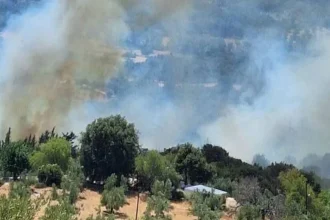 Μαίνεται η φωτιά στη Βρυσούλα Πρέβεζας - Απομακρύνονται οι ηλικιωμένοι από το χωριό, δύο σπίτια τυλίχθηκαν στις φλόγες