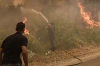 ΟΙΚΙΠΑ - Πρόσφατες πυρκαγιές:Συνεχίζει να μας λείπει ο «τρόπος»!