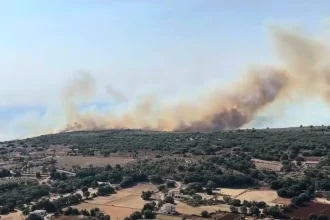 Ενισχύθηκαν οι δυνάμεις για τη φωτιά στο Καραβάδο Κεφαλονιάς: Οι φλόγες πλησιάζουν επικίνδυνα τον οικισμό (ΒΙΝΤΕΟ)