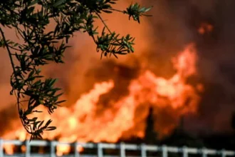 Φωτιά στην Κεφαλονιά: Καίγεται δάσος στην περιοχή Αθέρας – Μήνυμα του 112 για εκκένωση