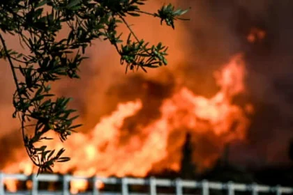 Φωτιά στην Κεφαλονιά: Καίγεται δάσος στην περιοχή Αθέρας – Μήνυμα του 112 για εκκένωση