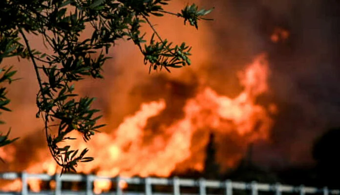 Φωτιά στην Κεφαλονιά: Καίγεται δάσος στην περιοχή Αθέρας – Μήνυμα του 112 για εκκένωση