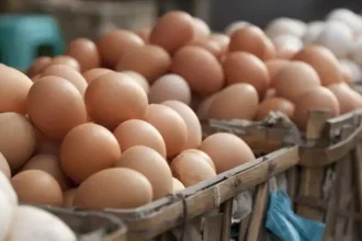 Θωμαΐδης για τις απαγορευμένες ουσίες που εντοπίστηκαν σε αυγά: Υπάρχουν παντού, αν δώσουμε αίμα είναι σχεδόν σίγουρο ότι θα τις εντοπίσουμε!